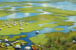 Estuary Biomes: Definition and Ecology