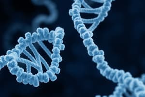 DNA, RNA, and Protein Synthesis Overview