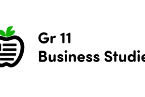 business studies term 1 test