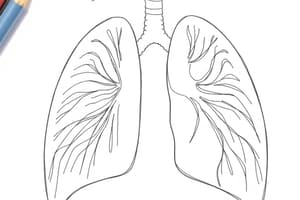 Versamento Pleurico: Cause e Effetti (Fisiologia 38)