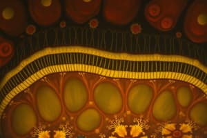 Cellular Biology I: The Endomembrane System