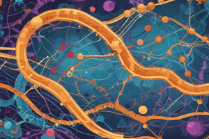 Elongation and Termination in Protein Synthesis