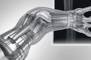 Computed Radiography & Digital Radiography