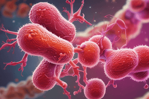 Mycobacterium Leprae (Leprosy) Quiz