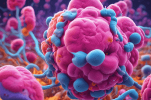 Mycobacterium Tuberculosis Phagocytosis Process