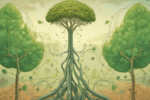 Autotrophs vs Heterotrophs: Photosynthesis and Cellular Respiration