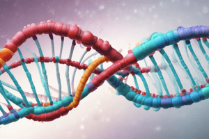 Molecular Biology Quiz: DNA Replication