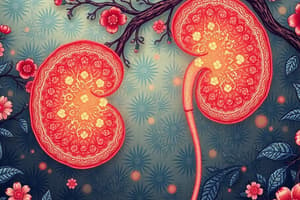 Glomerulonephritis and Immune Responses Quiz