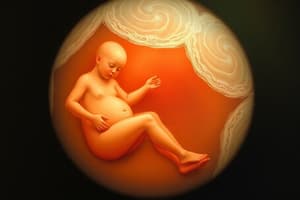 Embriología: Desarrollo Prenatal y Primera Semana