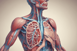 The Respiratory System