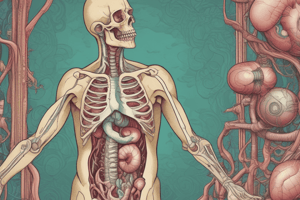 Digestive System Overview