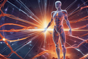 Energy, Work, and Power in the Human Body