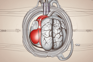 The Liver's Role in Blood Pressure Regulation