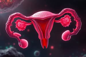 Female Reproductive System Quiz