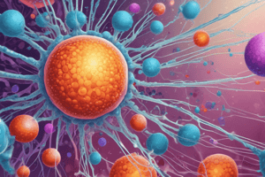 B Cell Signaling Pathways Quiz