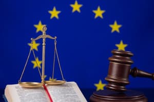 Legal Principles and EU Law Basics