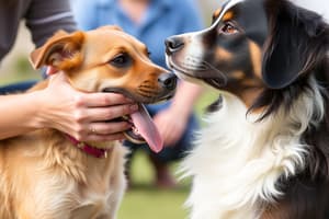 Interpersonal Skills in Canine Education