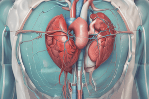 Invasive Cardiac Monitoring: PA Catheter