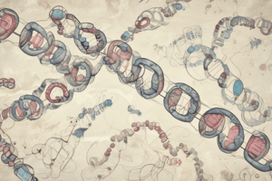 Chromosomal Abnormalities Quiz