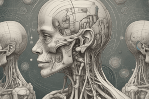 Cranial Nerves and Their Functions