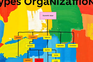 Types d'organisations et leurs fonctions