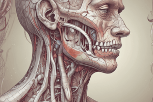 Anatomy of Salivary Glands