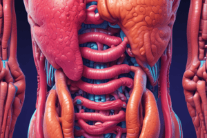 The Digestive System: An Overview