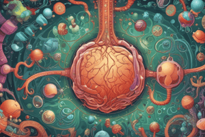 Cellular Respiration