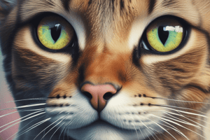 Veterinary Ophthalmology: Feline Internal Ophthalmoparesis/Ophthalmoplegia