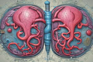 Types of Organ Rejection