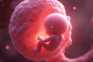 Conception and Early Development