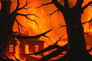 Fire Statistics and Injury Causes