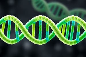 DNA Replication: Process and Rules