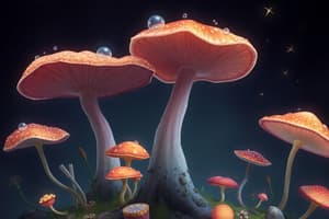 Kingdom Fungi Overview & Characteristics