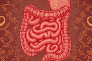 Constipation, Diarrhea, and Irritable Bowel Syndrome