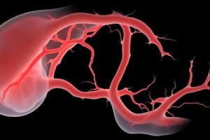 05. Embryology - Cardiovascular Development