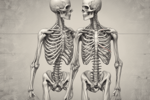 Human Bone Structure and Types