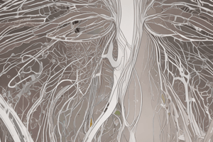 Respiratory Physiology: Breathing Patterns and Gas Exchange