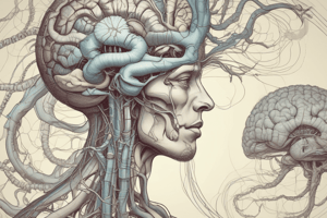 Central Nervous System (CNS) Overview