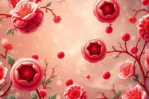 Hematopoiesis and Agranulocytosis Overview