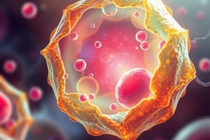 Cell Organelles and Their Functions