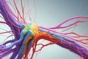 Nervous System and Pain Perception