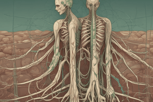 Lymphatic System and Venous Drainage