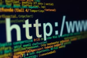 HTTP-Protokoll und Entwicklung