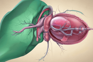 Gallstones and Cholecystitis: Symptoms and Treatment