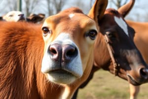 Tierverschutzgesetz und Naturschutzgesetze