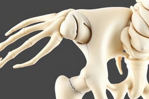 Bone Structure and Fracture Repair