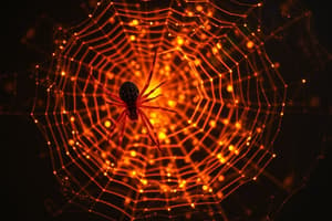 Orb-Weaver Spiders and Firefly Behavior Study