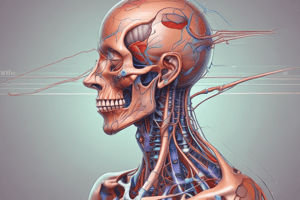 Anatomy of the Shoulder Region and Arm