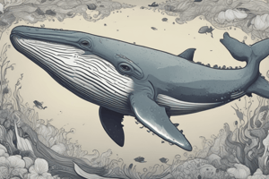 Parasites of Whales and Marine Life